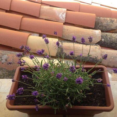 Gerani House Villa Чефалу Екстериор снимка